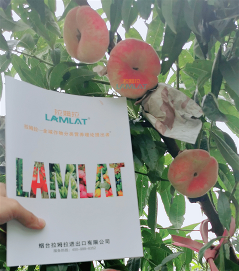 水溶肥，翠姆，拉姆拉
